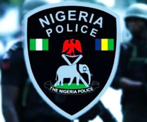 Police repatriate wanted Chinese gang leader in interpol operation