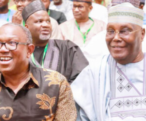 While APC and PDP Decides, ADC Holds Back – Daily Trust