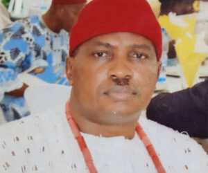  Why Creation Of Anioma State Should Be Now – Oganah  – Independent Newspaper Nigeria