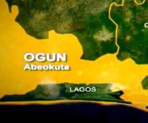 Driver, 5 passengers die in Ogun lone car crash