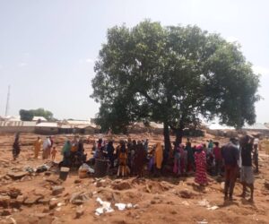 Mokwa flood victims sleep under trees, seek urgent assistance