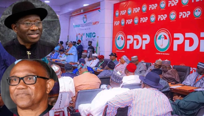 PDP Zones 2027 Presidency To South, Clears Path For Jonathan, Obi