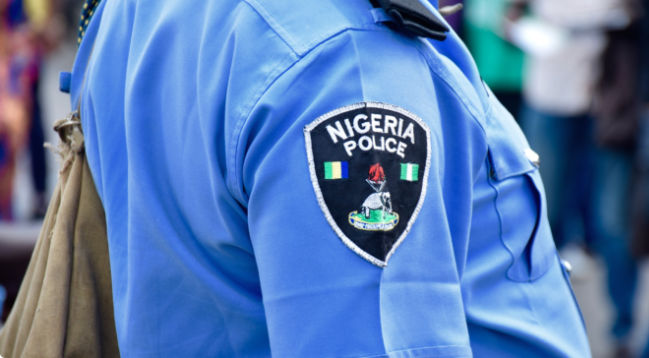 Officers filmed aiding politician with cash distribution in Kano under probe -Police