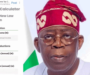 Tinubu Launches Personal Income Tax Calculator | Tech | Business
