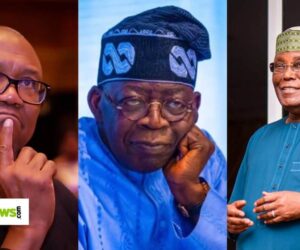 ‘Peter Obi, Atiku’s Alignment Will Reduce Tinubu’s Support Base’
