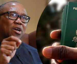 Peter Obi Slams FG Over Passport Fee Hike, Says Burden On Nigerians ‘Becoming Legendary’