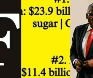 Forbes releases 2025 black billionaires list