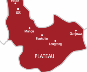 3 farmers killed, one injured in fresh Plateau attack – Daily Trust