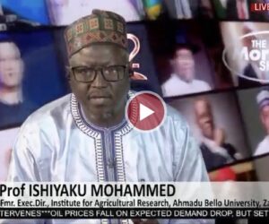 Prof. Muhammed: GMOs Are Safe, Nigeria Has Absolute Control Over Its Genetic Materials