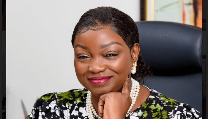 Insurance reform will unlock long-term funds for infrastructure, cover for MSMEs