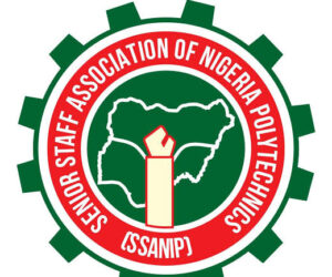 Polytechnic workers threaten strike over unmet demands – Daily Trust