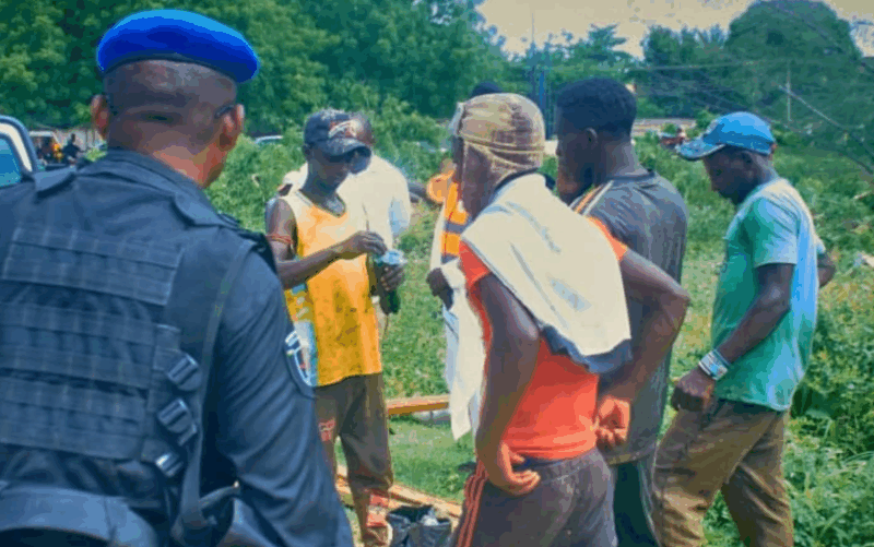 Four convicted for illegal tree felling in Kano