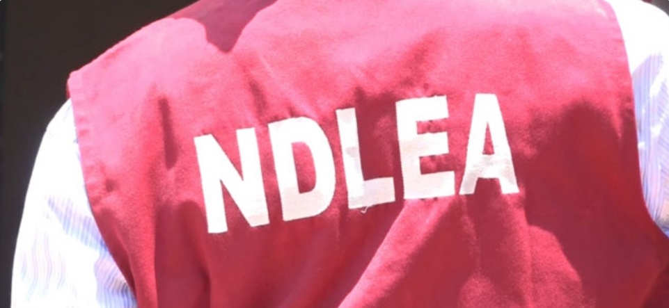 NDLEA Arrests Mother, Son, Others In Nationwide Crackdown On Cannabis, Tramadol