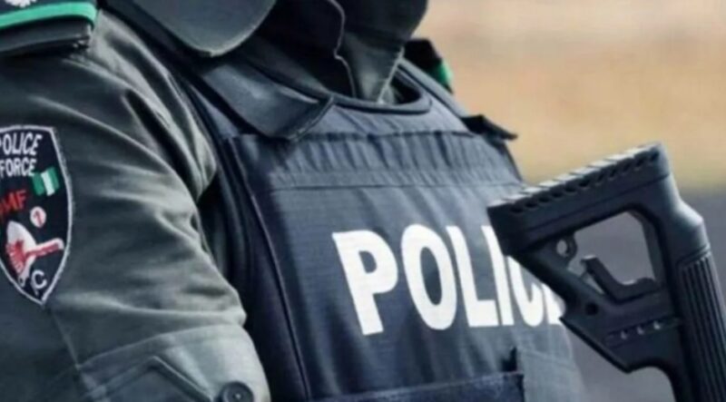 Police Nab Salesgirl Over N29m Theft From Phone Store In Niger
