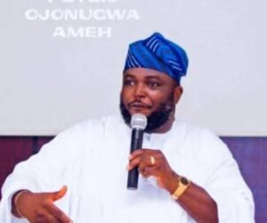 Peter Ameh Warns Against Prison Voting, Urges Prioritisation Of Diaspora Voting, Electoral Reforms In Nigeria