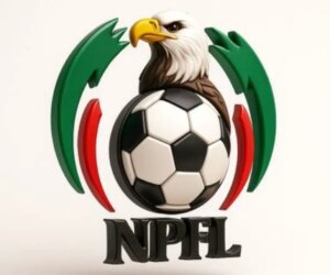 VAR Will Guarantee True Champions In Nigerian League –Ifejiagwa