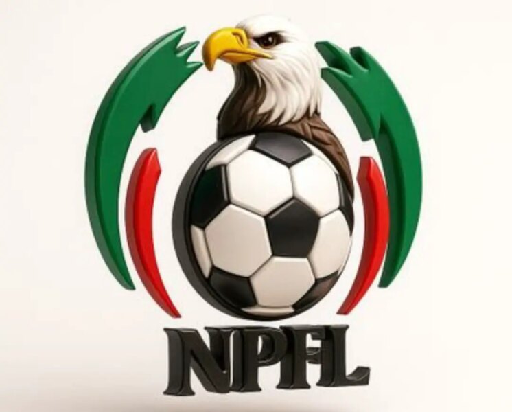 NPFL Flags Three Stadium For Poor Facilities
