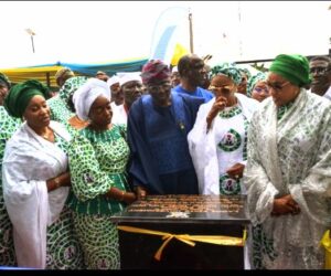 Lagos To Earn N387bn Yearly From Leather Hub Named After Oluremi Tinubu – Independent Newspaper Nigeria