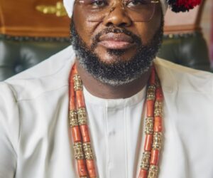Notes From A Parliamentarian – Independent Newspaper Nigeria