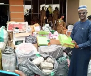 NDLEA Seizes 589kg Of Illicit Drugs In Adamawa, Arrests 107 Suspects
