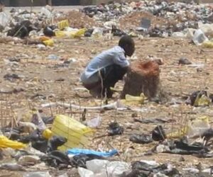 Katsina LG Launches Two-Week Campaign To End Open Defecation In 290 Communities