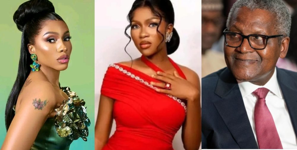 Ruth Would Still Be Alive If Dangote Embraced Her As Family