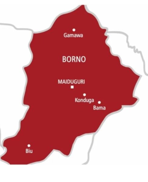 Troops Neutralise 12 ISWAP Terrorists, Seize Weapons In Borno