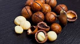 Tinubu bans export of raw shea nut, targets $300m revenue – Daily Trust