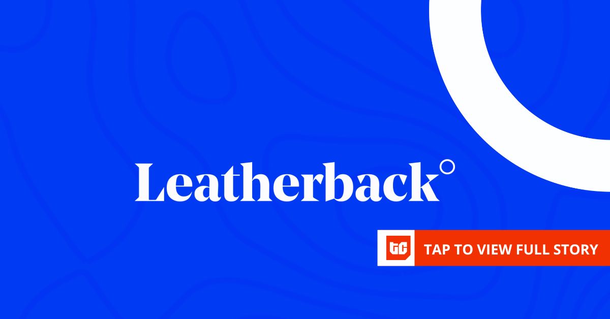 Leatherback bets on enterprise remittance after turbulent year