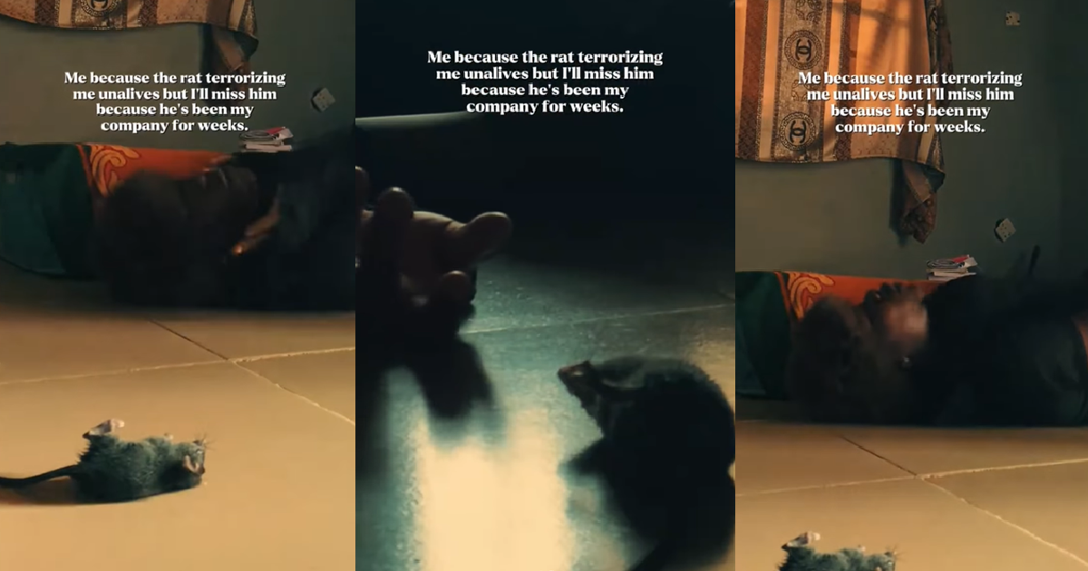 “I’ll miss him” – Lady moúrns the passing of the rat who had been terr0rizing her in her room for weeks (WATCH)