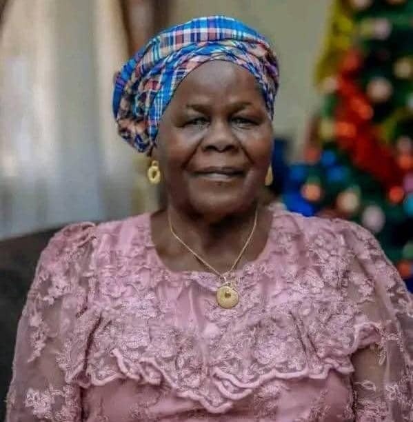 Tinubu Condolences APC Chairman Over Mother’s Death