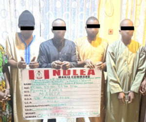 How drug syndicate framed 3 Nigerians detained in S/Arabia – Daily Trust