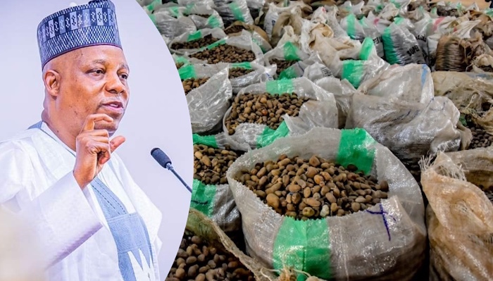 Tinubu’s Temporary Ban On Raw Shea Nut Export a Collective Decision with Sub-nationals, To Generate $300m Annually, Says Shettima 