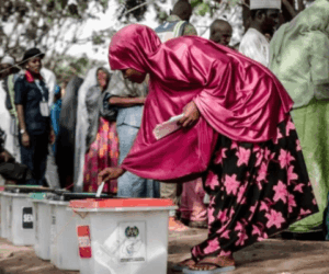 Voting in progress in Bagawi-Shanono, Ghari/Tsanyawa, APC seeks cancelation