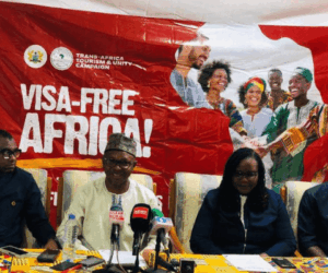Visa rules costing Africa its future, campaigners warn