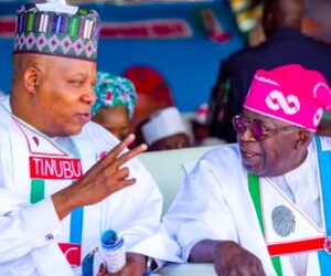Tinubu may lose 80% Northern votes if Shettima is replaced