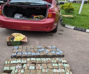 Kaduna Police, DSS Arrest Suspected Vote Buyer with ₦25.9m Cash Ahead of Bye-Elections