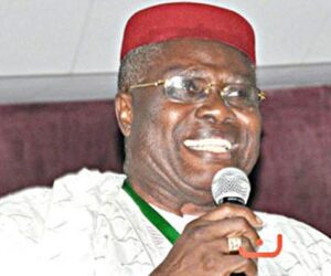 2027: Things PDP must do to succeed – BoT Chairman, Wabara