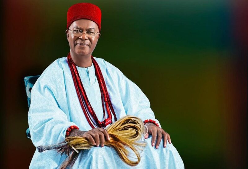 Institutional Neglect, Poor Governance Stalling Nigeria’s Development – Obi Of Onitsha