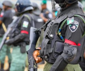 Police Arrest Man In Ondo Over Fake Kidnapping Scam
