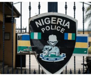 Police Dismantle Child Trafficking Syndicate, Rescue 11 Victims In Lagos