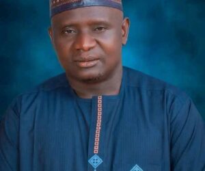 APC wins Ganye constituency in Adamawa – Daily Trust