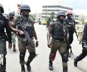 Eight Arrested, Firearms Recovered As Police Rescue Kidnap Victim In Kaduna, Delta