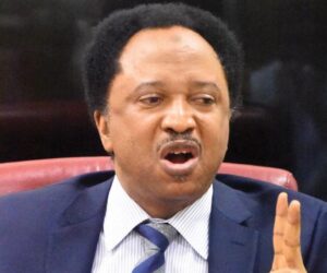 “Why Jonathan Shouldn’t Contest 2027 Election” — Shehu Sani