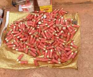 65-year-old man arrested with over 1000 live ammunition in Anambra