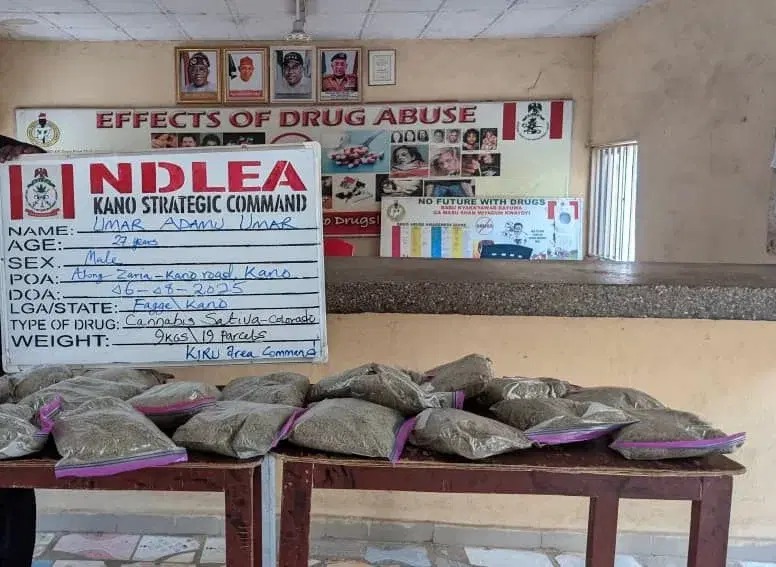 NDLEA Seizes ₦10m Cannabis, Arrests Suspect In Kano