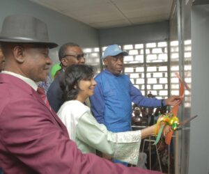 UNICEF Inaugurates Africa’s Second Behavioural Lab In Lagos To Tackle Child Mortality – Independent Newspaper Nigeria