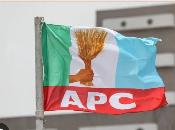 APC Suspends Edo South Senatorial Candidate Over Anti-Party Activities