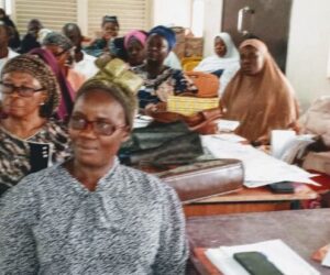 UBEC, Osun SUBEB, ULS Train 1,250 Primary School Teachers On Jolly Phonics – Independent Newspaper Nigeria