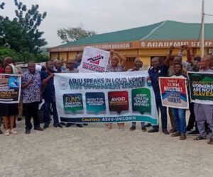 Professors Now Struggle to board Buses meant for Students – Daily Trust